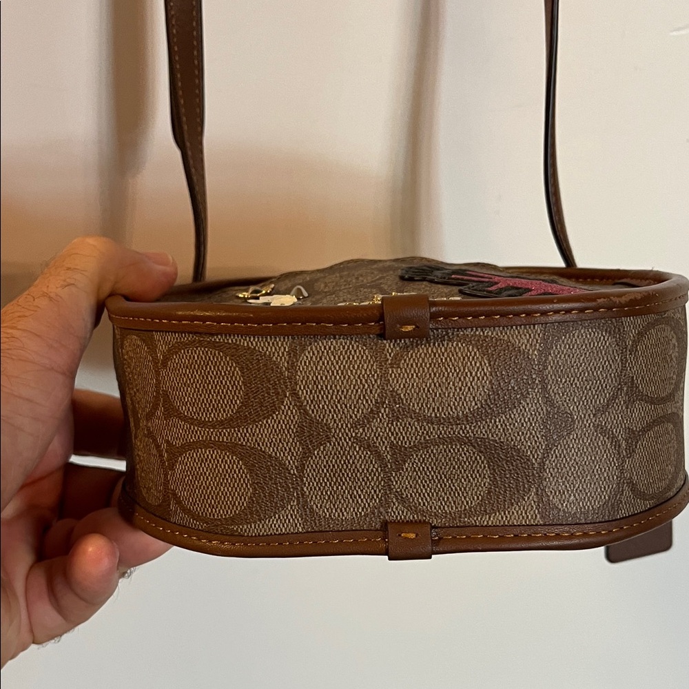 Special Edition Coach by Keith Haring Brown and Tan Mini Canteen Crossbody - Picture 7 of 10